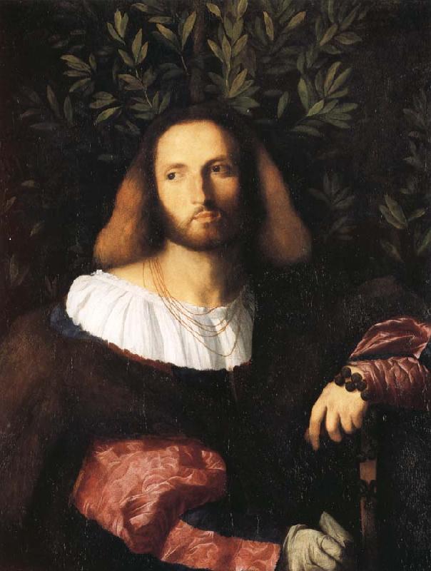 Palma Vecchio Portrait of a Poet oil painting image